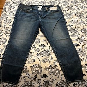 Torrid Jeggins Denim